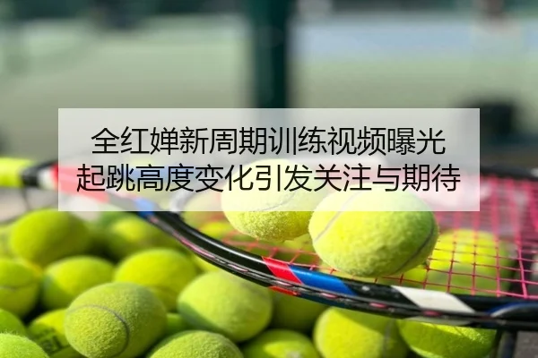 全红婵新周期训练视频曝光 起跳高度变化引发关注与期待